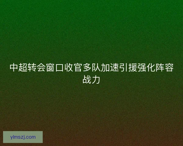 中超转会窗口收官多队加速引援强化阵容战力