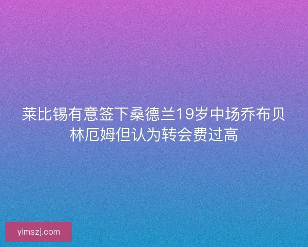 莱比锡有意签下桑德兰19岁中场乔布贝林厄姆但认为转会费过高
